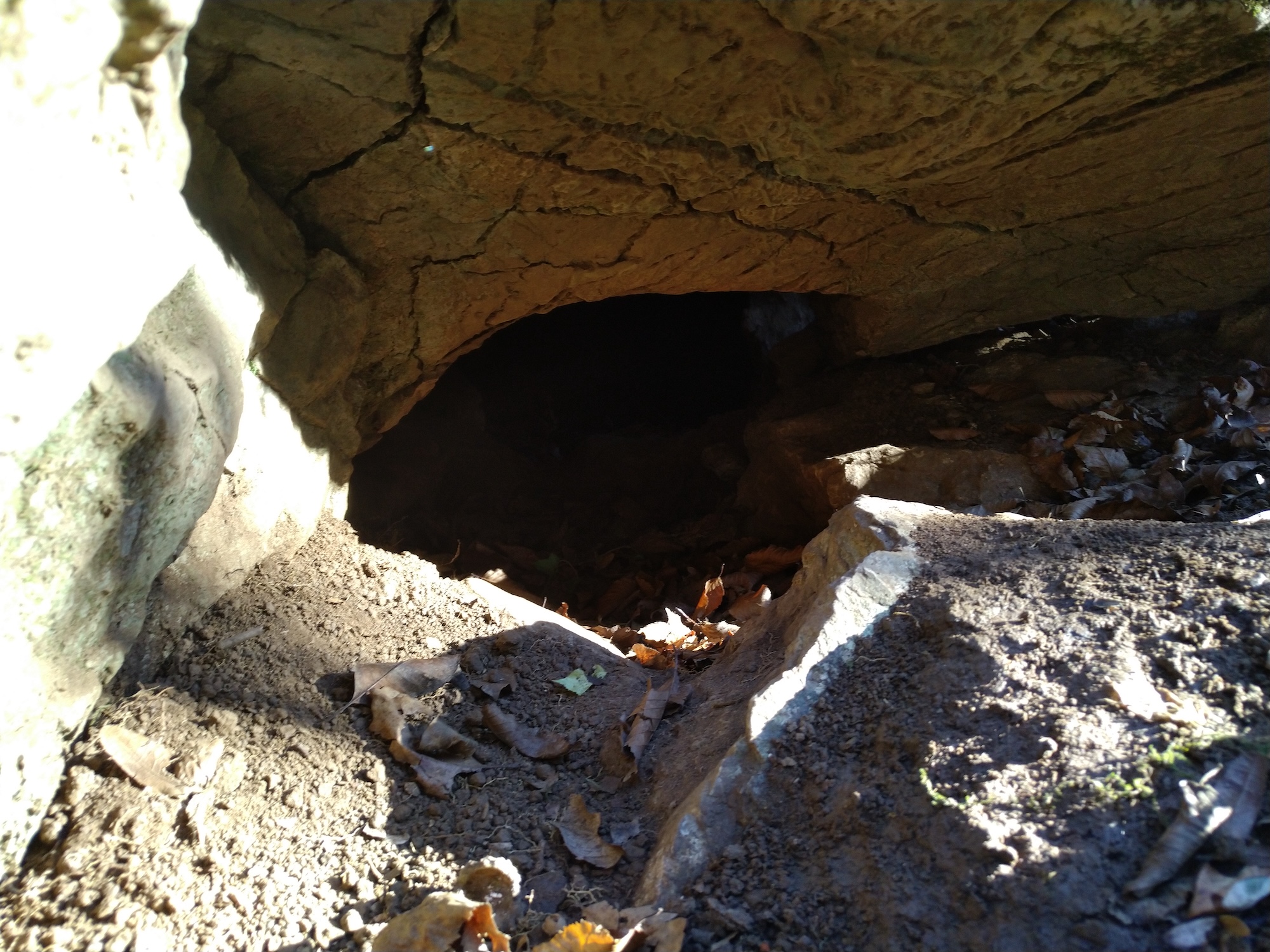 Peștera din V. Doman - Image 2